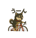 自転車ノリノリ黒柴のココちゃん（個別スタンプ：6）