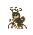 自転車ノリノリ黒柴のココちゃん（個別スタンプ：9）