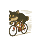 自転車ノリノリ黒柴のココちゃん（個別スタンプ：11）
