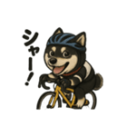 自転車ノリノリ黒柴のココちゃん（個別スタンプ：13）