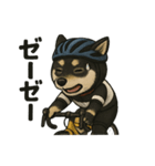 自転車ノリノリ黒柴のココちゃん（個別スタンプ：19）