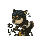 自転車ノリノリ黒柴のココちゃん（個別スタンプ：20）