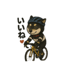 自転車ノリノリ黒柴のココちゃん（個別スタンプ：24）
