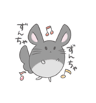 チンチラのぽんさんスタンプ5（個別スタンプ：1）