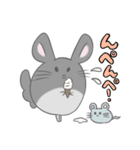 チンチラのぽんさんスタンプ5（個別スタンプ：12）