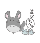 チンチラのぽんさんスタンプ5（個別スタンプ：20）