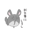 チンチラのぽんさんスタンプ5（個別スタンプ：27）