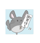 チンチラのぽんさんスタンプ5（個別スタンプ：34）