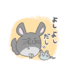 チンチラのぽんさんスタンプ5（個別スタンプ：37）