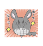 チンチラのぽんさんスタンプ5（個別スタンプ：40）