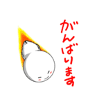 毎日使えるシロニイのスタンプ（個別スタンプ：16）