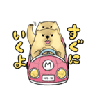スーパーマーモット（個別スタンプ：3）