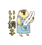 スーパーマーモット（個別スタンプ：5）