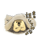 スーパーマーモット（個別スタンプ：23）
