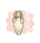 スーパーマーモット（個別スタンプ：24）