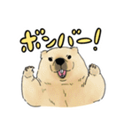 スーパーマーモット（個別スタンプ：25）