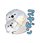 スーパーマーモット（個別スタンプ：28）