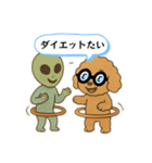 博多弁のトイプードル（個別スタンプ：19）