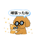 博多弁のトイプードル（個別スタンプ：22）