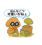 博多弁のトイプードル（個別スタンプ：35）