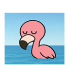海のフラミンゴ@SFW（個別スタンプ：14）