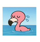 海のフラミンゴ@SFW（個別スタンプ：16）