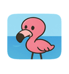 海のフラミンゴ2@SFW（個別スタンプ：14）