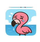 海のフラミンゴ2@SFW（個別スタンプ：21）