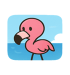 海のフラミンゴ2@SFW（個別スタンプ：30）
