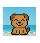 海のピクセルイヌ@SFW（個別スタンプ：1）