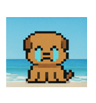 海のピクセルイヌ@SFW（個別スタンプ：5）