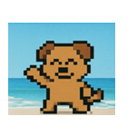 海のピクセルイヌ@SFW（個別スタンプ：9）
