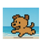 海のピクセルイヌ@SFW（個別スタンプ：11）