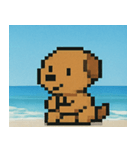 海のピクセルイヌ@SFW（個別スタンプ：19）