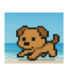 海のピクセルイヌ@SFW（個別スタンプ：22）