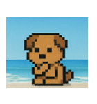 海のピクセルイヌ@SFW（個別スタンプ：24）