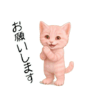 推し猫【桃】………………（個別スタンプ：5）