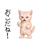 推し猫【桃】………………（個別スタンプ：31）