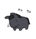 おうま日和 part.4（個別スタンプ：13）
