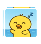 海のヒヨコ@SFW（個別スタンプ：6）