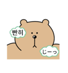 真剣熊 (日本語/韓国語)（個別スタンプ：20）