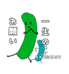 きゅうりとピクルスの日常会話2（個別スタンプ：24）