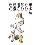 猫のスタンプ その20（旅する猫）（個別スタンプ：12）