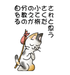 猫のスタンプ その20（旅する猫）（個別スタンプ：19）