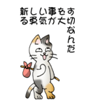 猫のスタンプ その20（旅する猫）（個別スタンプ：21）