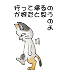 猫のスタンプ その20（旅する猫）（個別スタンプ：24）