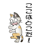 猫のスタンプ その20（旅する猫）（個別スタンプ：28）