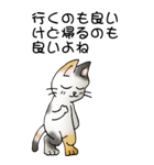 猫のスタンプ その20（旅する猫）（個別スタンプ：36）