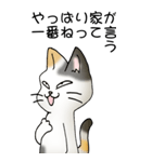 猫のスタンプ その20（旅する猫）（個別スタンプ：39）