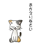 猫のスタンプ その20（旅する猫）（個別スタンプ：40）